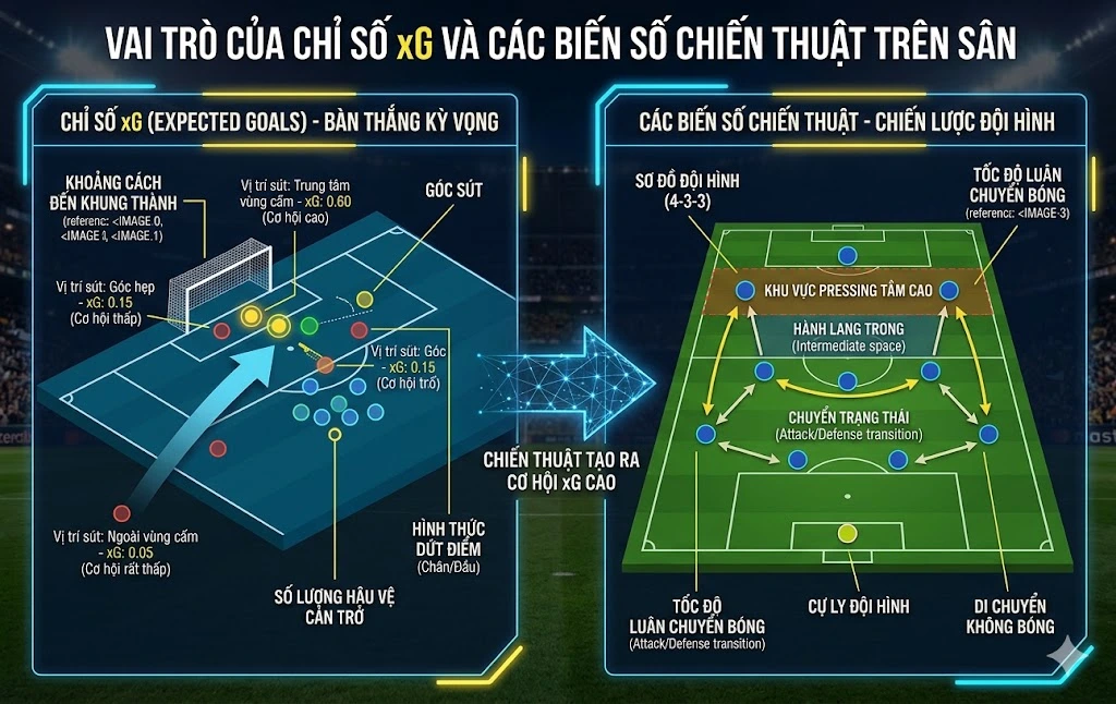 Vai Trò Của Chỉ Số xG Và Các Biến Số Chiến Thuật Trên Sân
